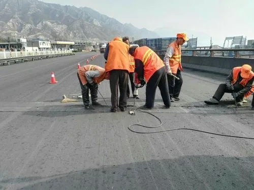 桑日道路桥梁病害治理